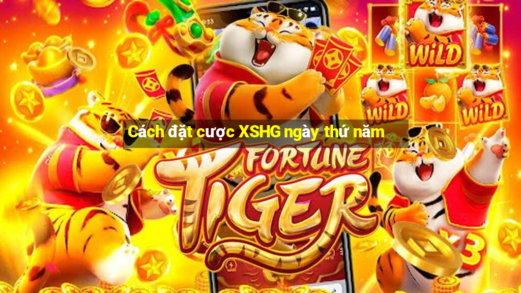 Cách đặt cược XSHG ngày thứ năm