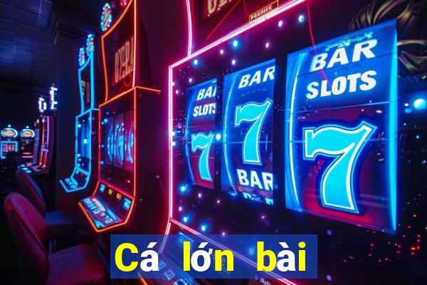 Cá lớn bài poker Android