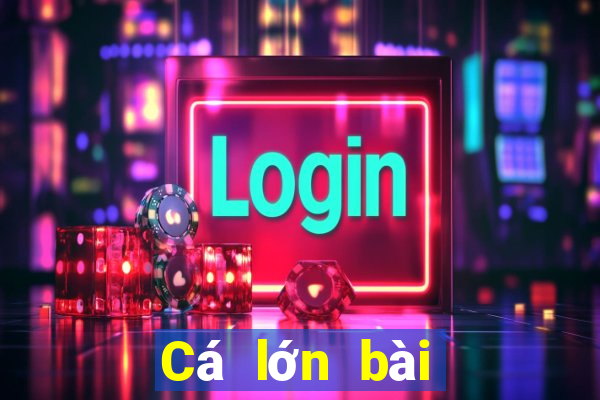 Cá lớn bài poker Android