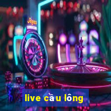 live cầu lông