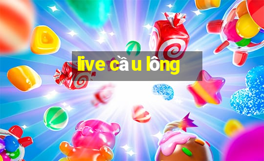 live cầu lông