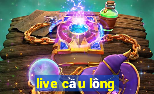 live cầu lông