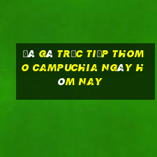 đá gà trực tiếp thomo campuchia ngày hôm nay