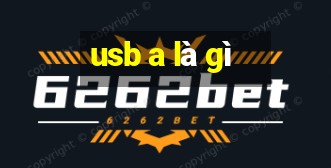 usb a là gì