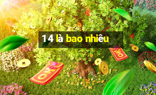 1 4 là bao nhiêu