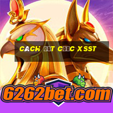 Cách đặt cược XSST