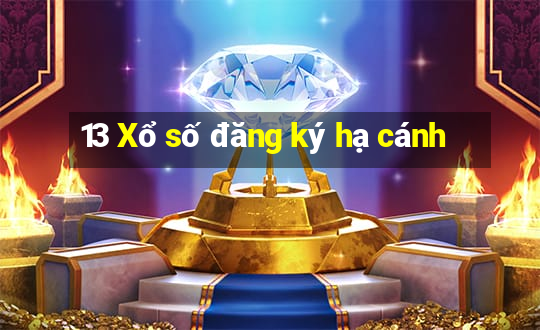 13 Xổ số đăng ký hạ cánh