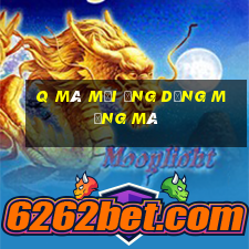 q Mã mời ứng dụng mạng mà