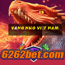 Vàng nho Việt nam