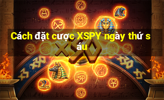 Cách đặt cược XSPY ngày thứ sáu