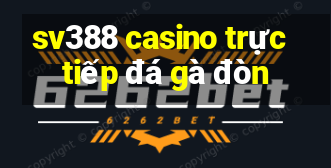 sv388 casino trực tiếp đá gà đòn