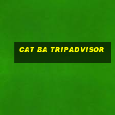 cat ba tripadvisor