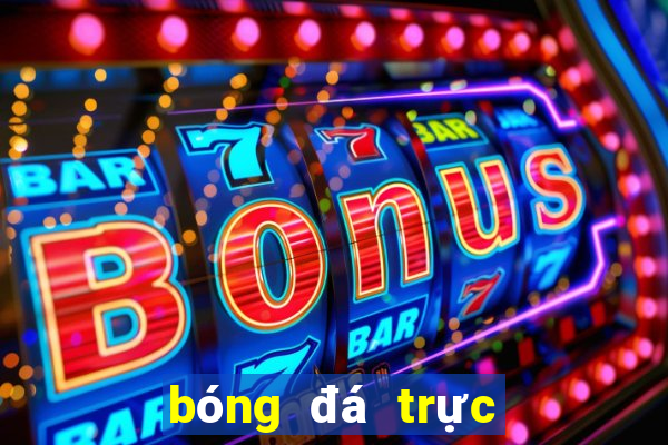 bóng đá trực tiếp euro