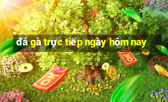 đá gà trực tiếp ngày hôm nay