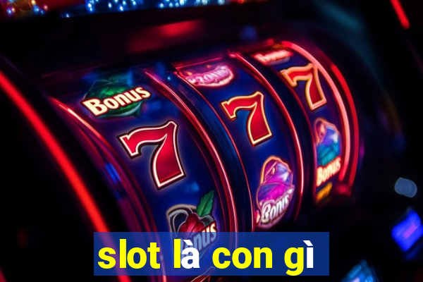 slot là con gì