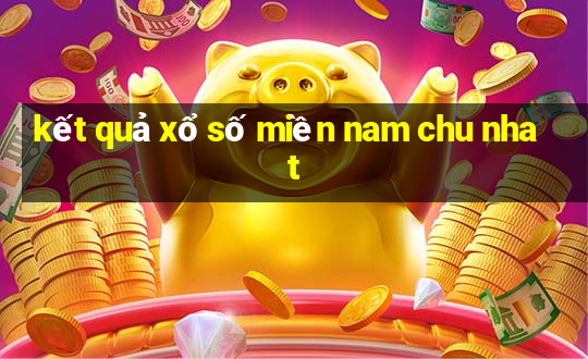 kết quả xổ số miền nam chu nhat