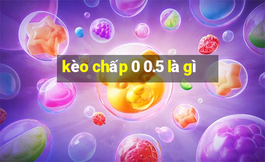 kèo chấp 0 0.5 là gì