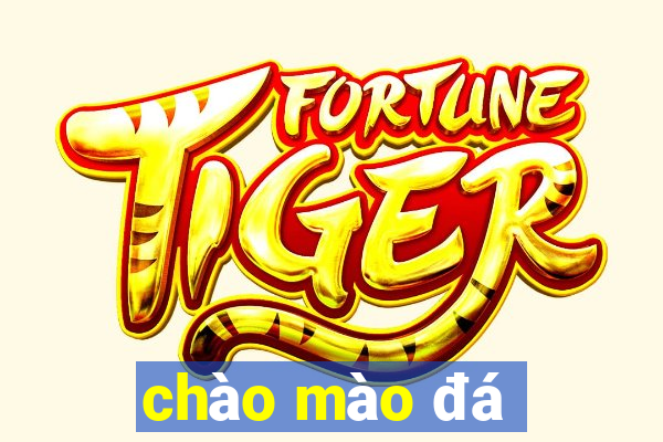 chào mào đá