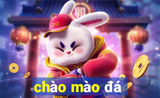 chào mào đá