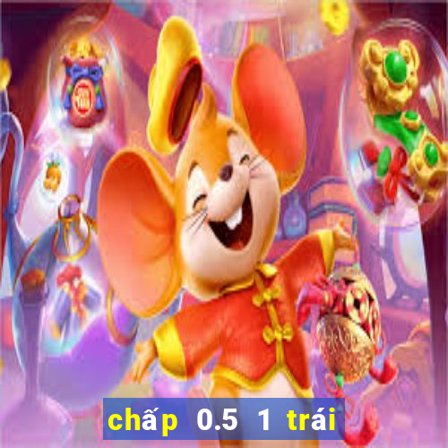 chấp 0.5 1 trái là sao