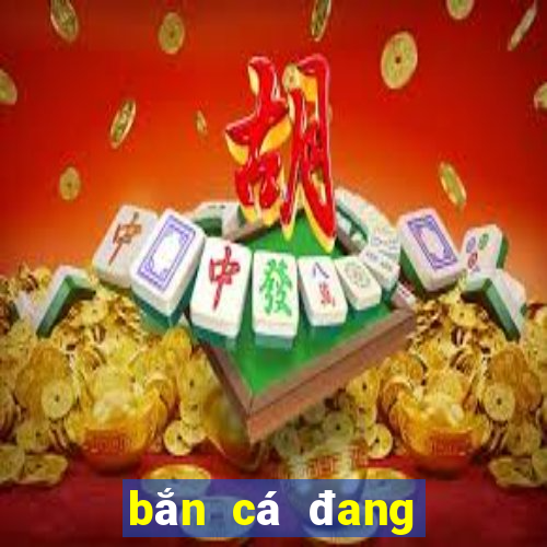 bắn cá đang đến Tải về