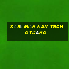 xổ số miền nam trong tháng