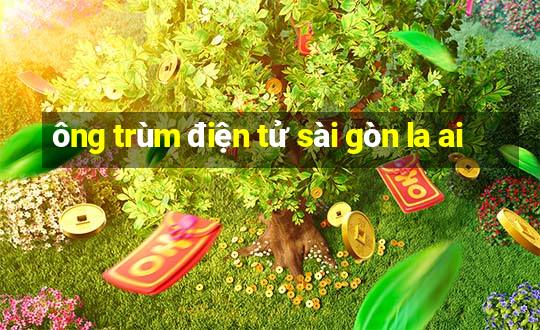 ông trùm điện tử sài gòn la ai