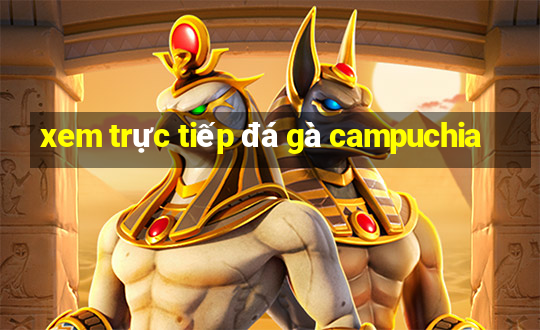 xem trực tiếp đá gà campuchia