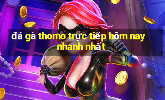 đá gà thomo trực tiếp hôm nay nhanh nhất