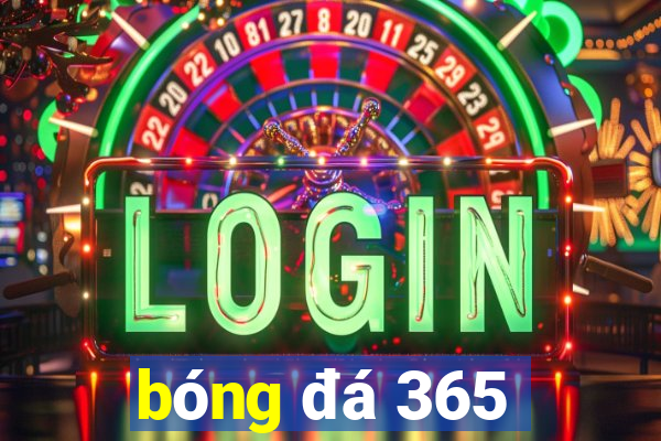 bóng đá 365