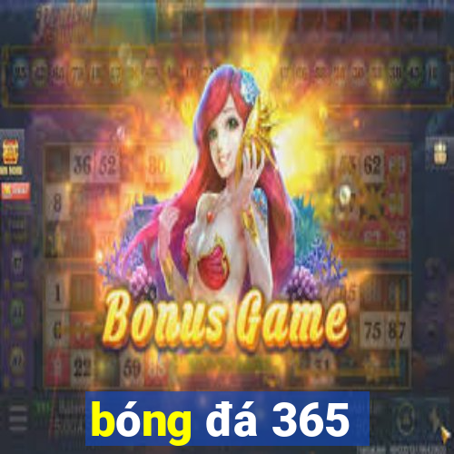 bóng đá 365