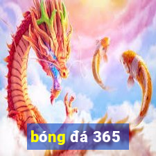 bóng đá 365