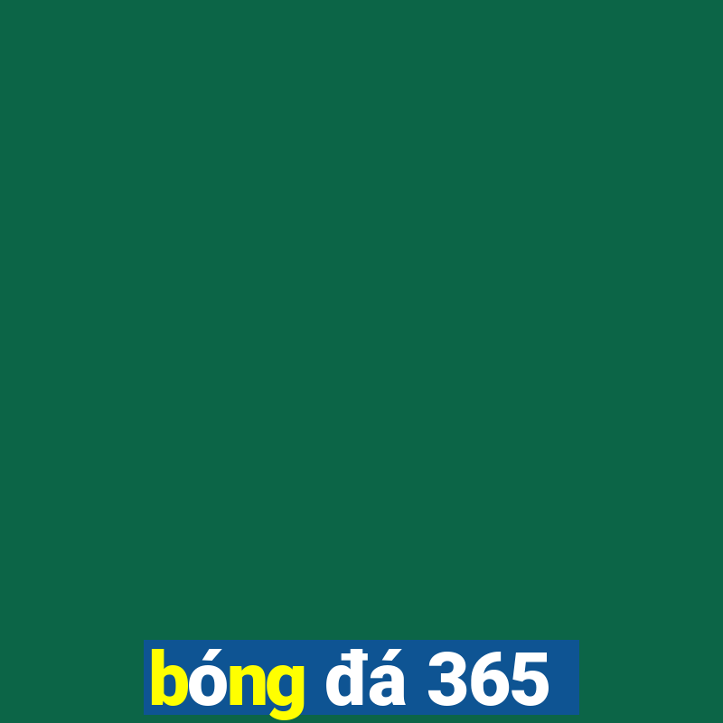 bóng đá 365