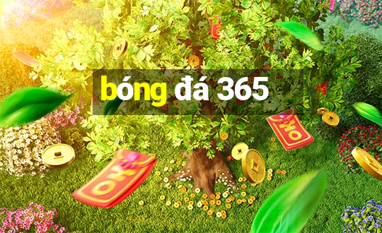 bóng đá 365