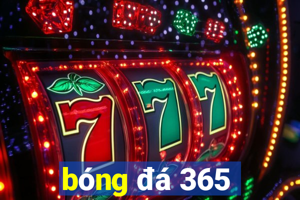 bóng đá 365