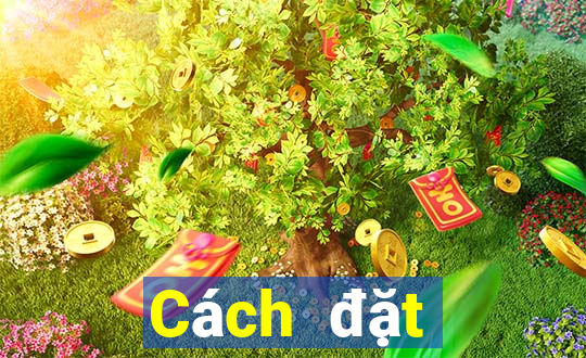 Cách đặt cược XSQN ngày 16