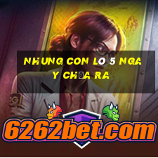 nhung con lô 5 ngay chưa ra