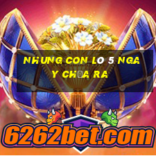 nhung con lô 5 ngay chưa ra