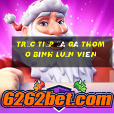 trực tiếp đá gà thomo bình luận viên