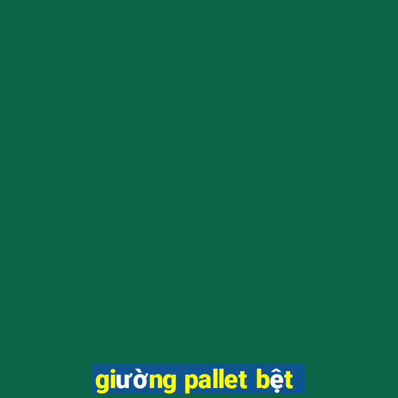 giường pallet bệt