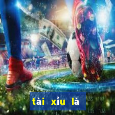 tài xỉu là như thế nào