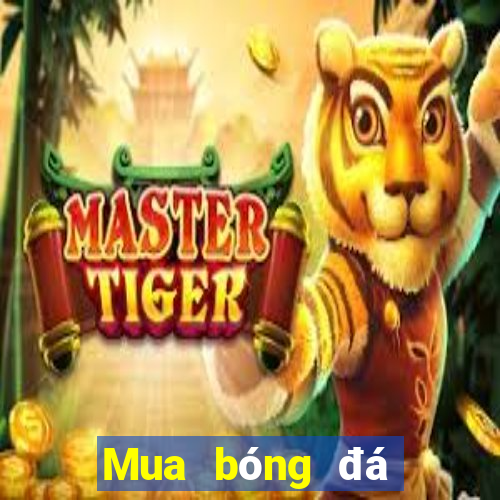 Mua bóng đá trực tuyến