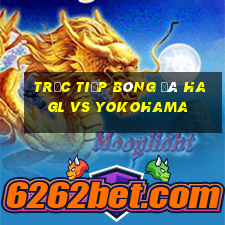 trực tiếp bóng đá hagl vs yokohama