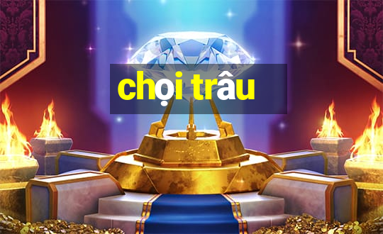 chọi trâu