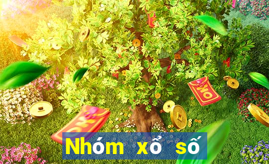 Nhóm xổ số vận chuyển xổ số