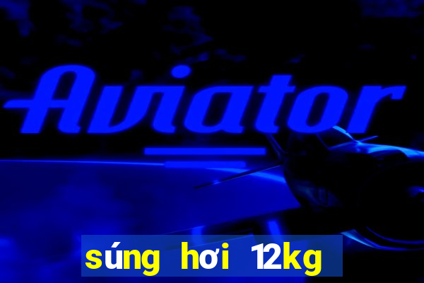 súng hơi 12kg giá bao nhiêu