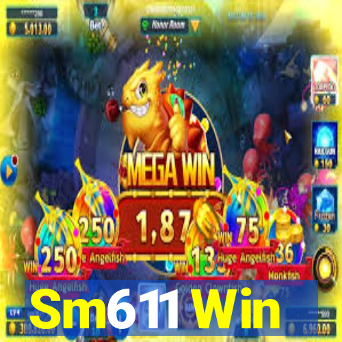 Sm611 Win