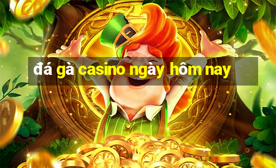 đá gà casino ngày hôm nay