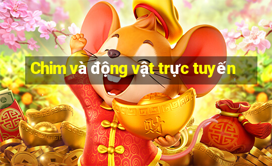 Chim và động vật trực tuyến