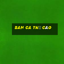 ban ca thẻ cào